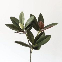 Bundled Autumn Branch